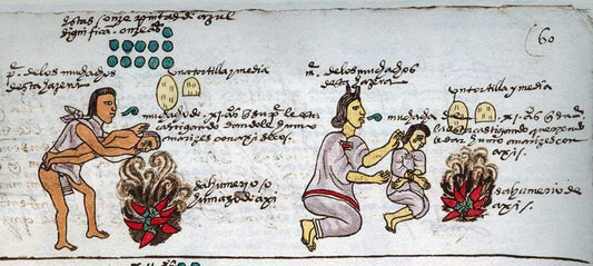 Zgodovina pekočih omak - 9000 let poti do naših krožnikov